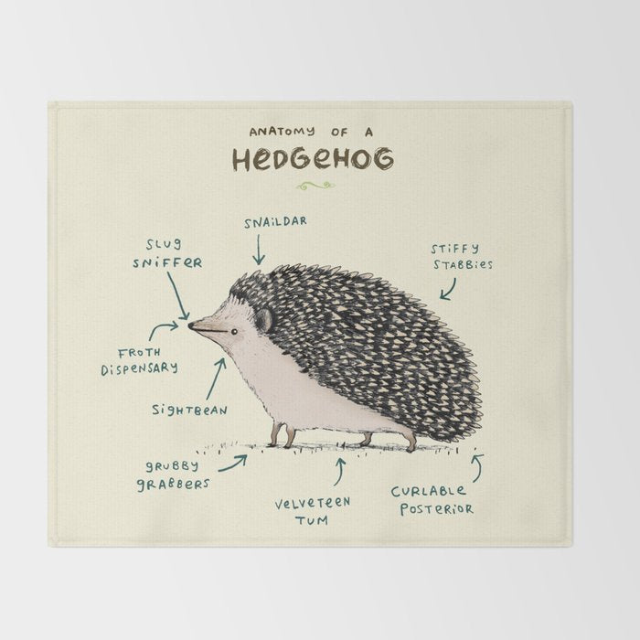 Anatomy of a Hedgehog Throw Blanket Gallery Image 2