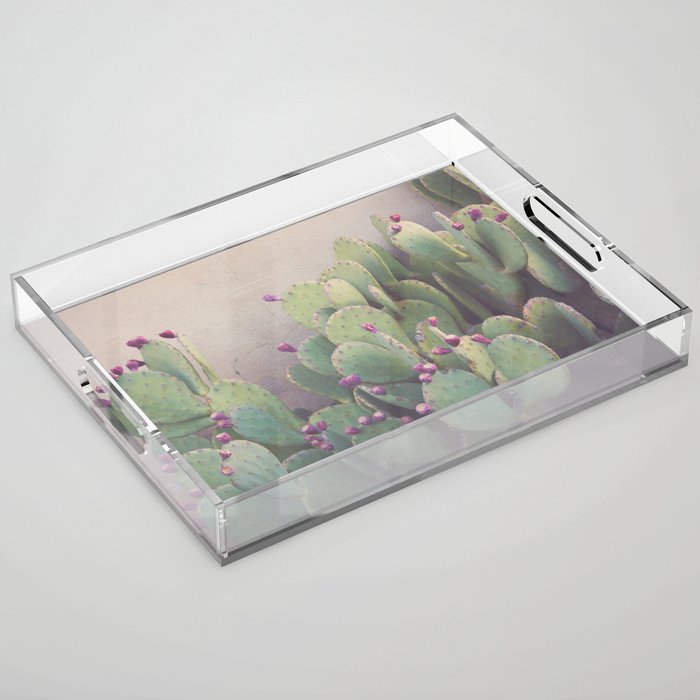 Still Life in Marfa Acrylic Tray Gallery Image 1