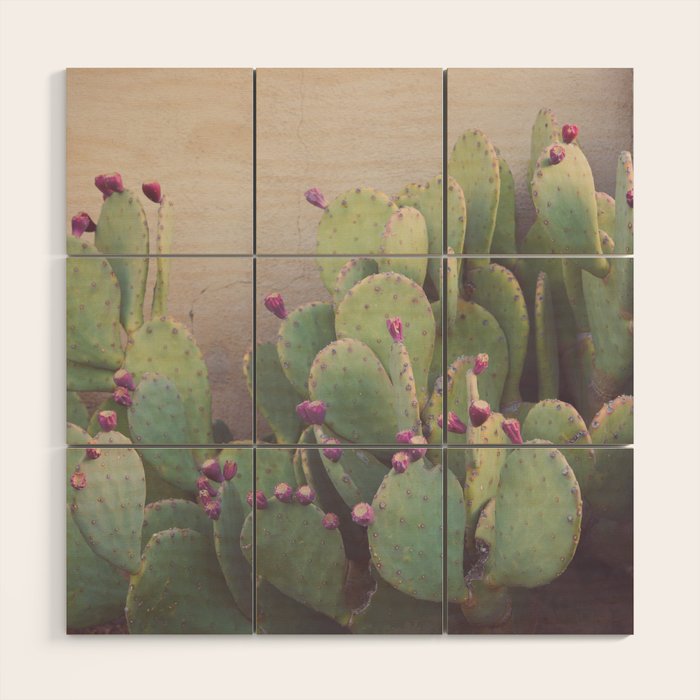 Still Life in Marfa Wood Wall Art Gallery Image 1
