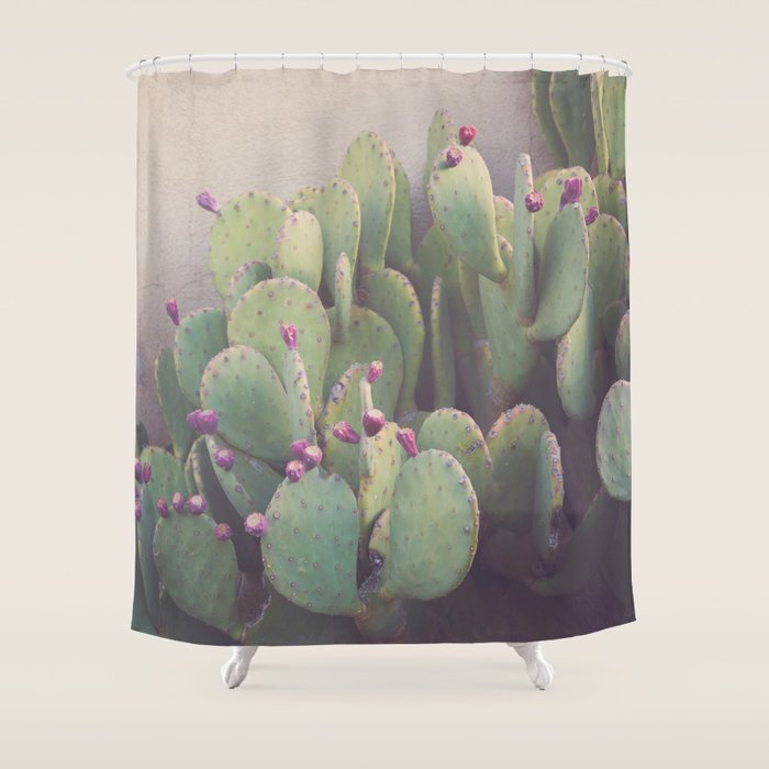 Still Life in Marfa Shower Curtain Gallery Image 1