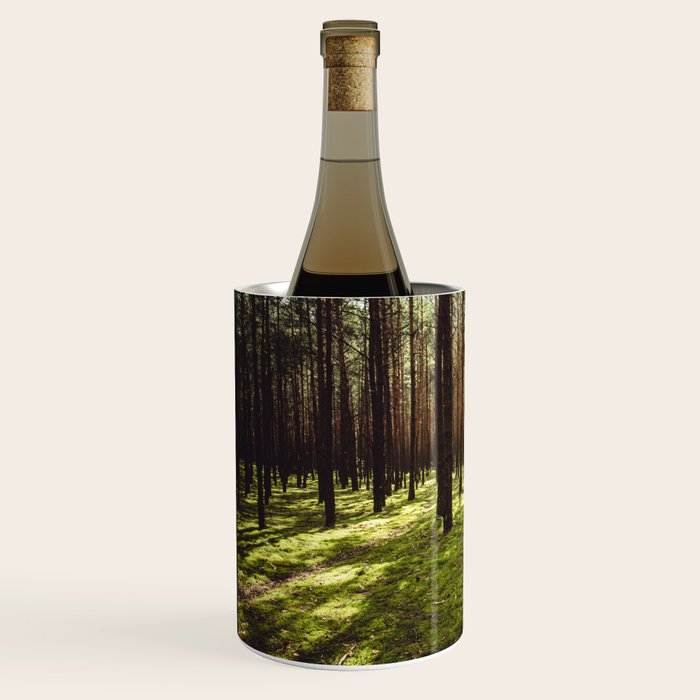 FOREST - Landscape and Nature Photography Wine Chiller Gallery Image 2