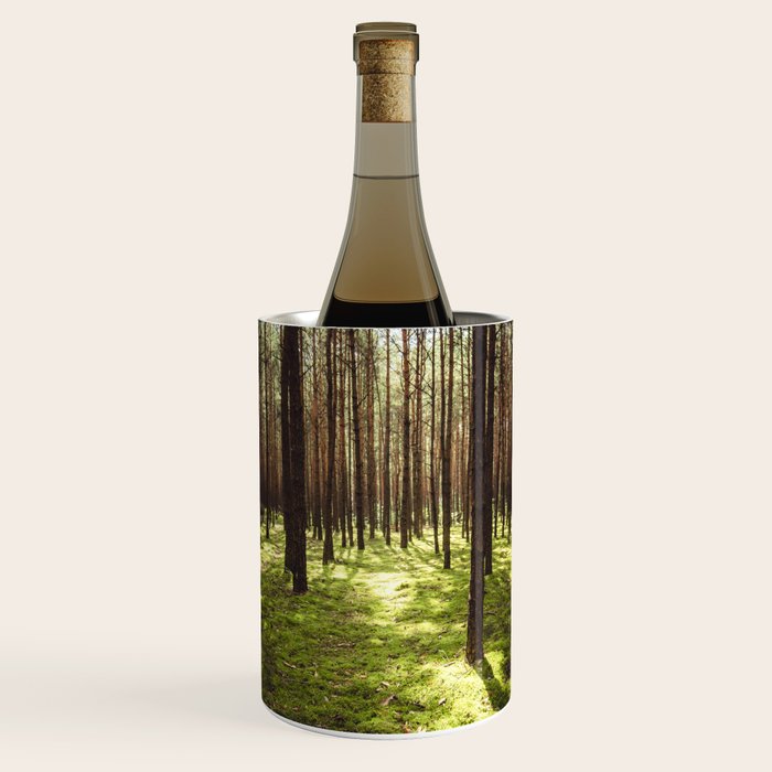 FOREST - Landscape and Nature Photography Wine Chiller Gallery Image 1
