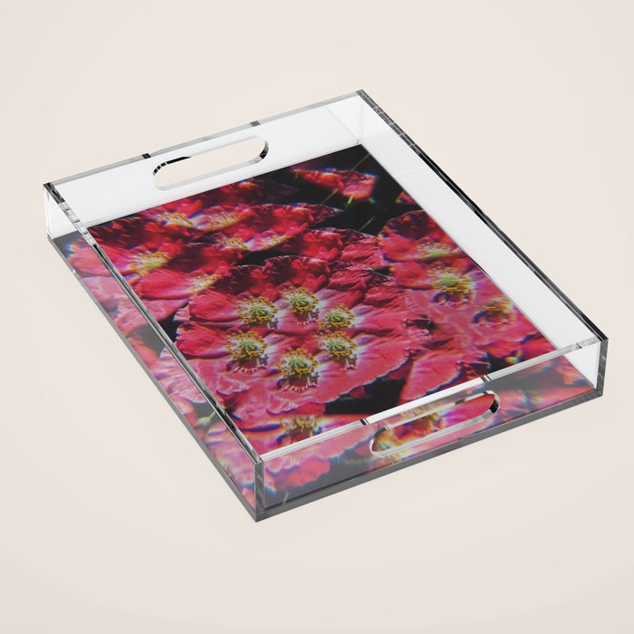 Liberate Acrylic Tray Gallery Image 1