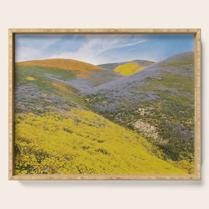 Bloomtown California Serving Tray Gallery Image 1