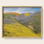 Bloomtown California Serving Tray Gallery Image 1