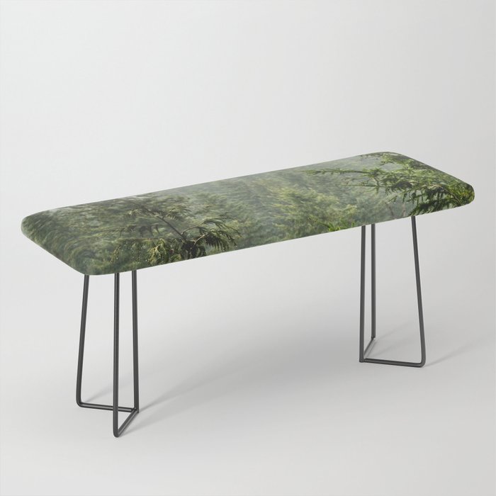 Wanderlust Forest - Mountain Adventure in Foggy Woods Bench Gallery Image 1