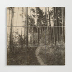 INTO THE WILD XXV Wood Wall Art Gallery Image 1