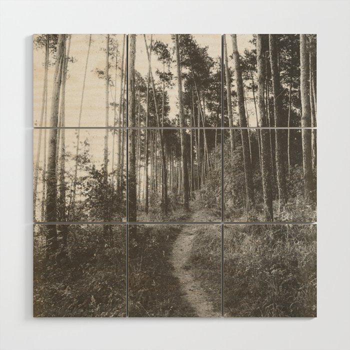 INTO THE WILD XXV Wood Wall Art Gallery Image 1