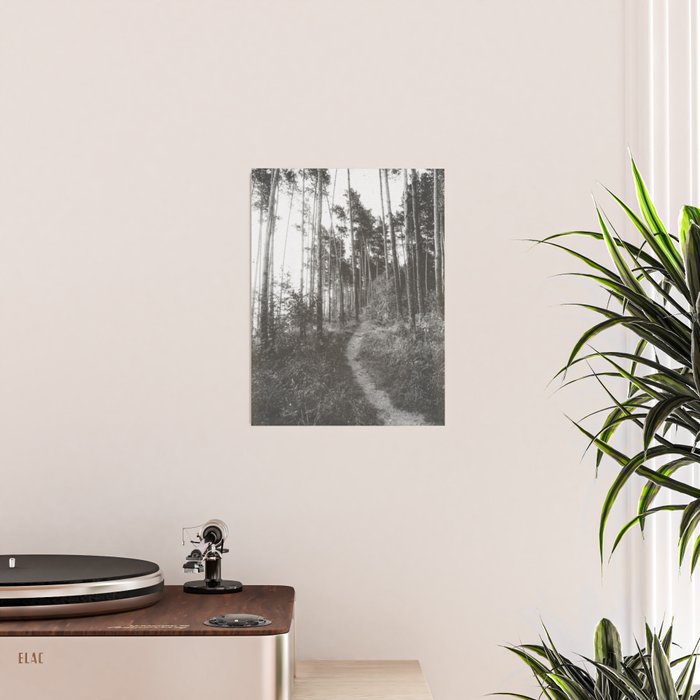 INTO THE WILD XXV Poster Gallery Image 2