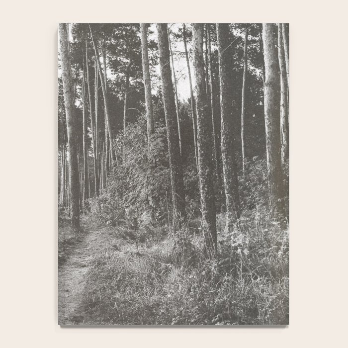 INTO THE WILD XXV Notebook Gallery Image 4