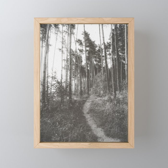 INTO THE WILD XXV Mini Art Print Gallery Image 1