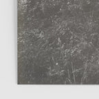 INTO THE WILD XXV Poster Gallery Image 3