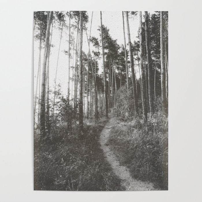 INTO THE WILD XXV Poster Gallery Image 4