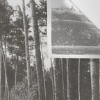 INTO THE WILD XXV Wall Tapestry Gallery Image 3
