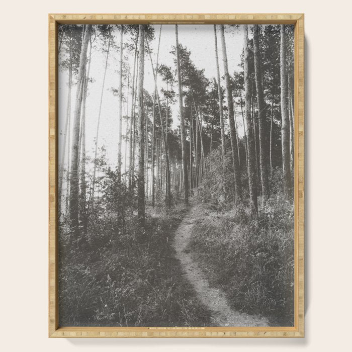 INTO THE WILD XXV Serving Tray Gallery Image 1