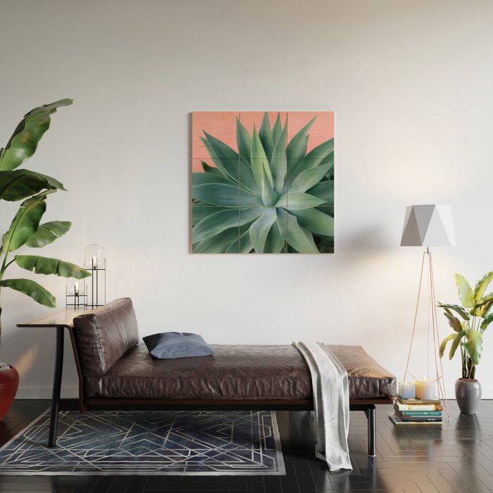 Agave succulent Wood Wall Art Gallery Image 2