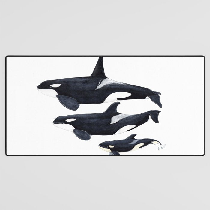 Orca (Orcinus orca) Desk Mat Gallery Image 3
