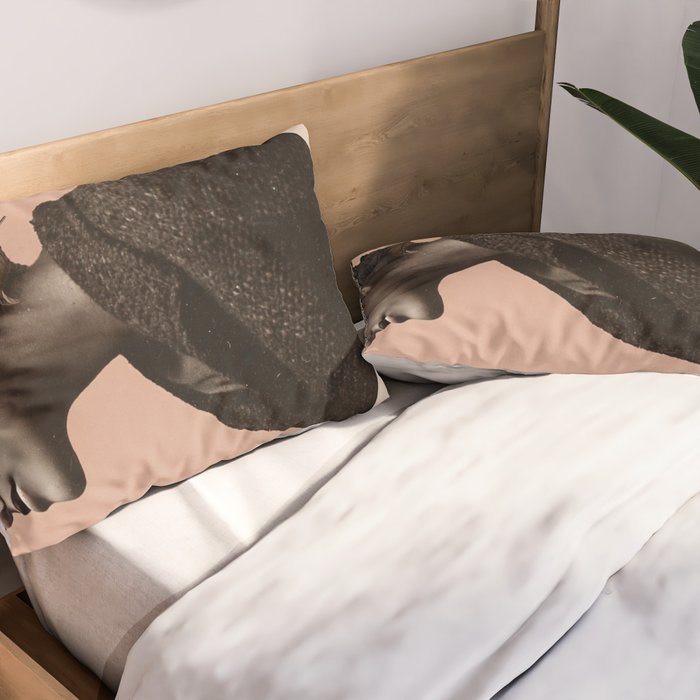 Well Forgotten Pillow Sham Gallery Image 2