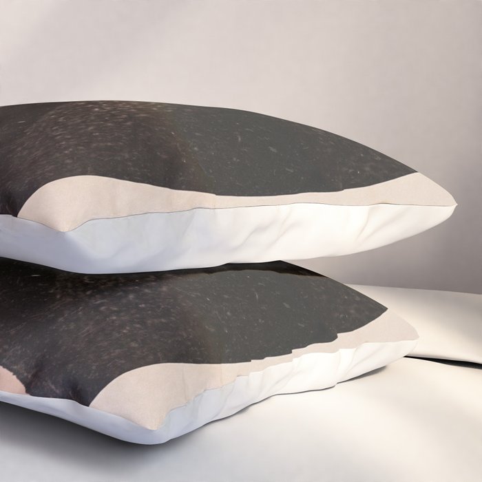 Well Forgotten Pillow Sham Gallery Image 3