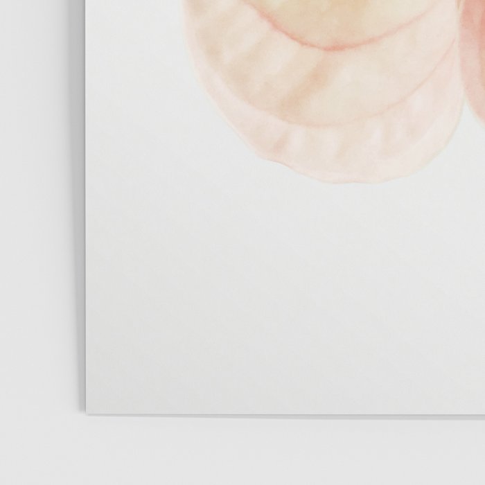 Calla Lily II Poster Gallery Image 3