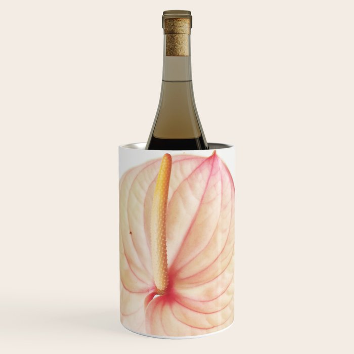 Calla Lily II Wine Chiller Gallery Image 1