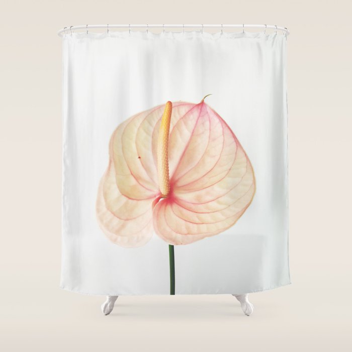 Calla Lily II Shower Curtain Gallery Image 1