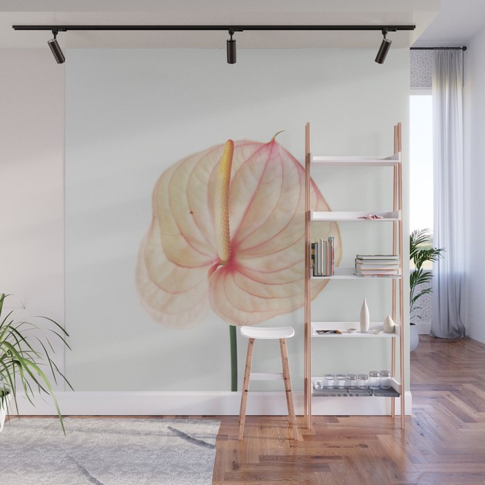 Calla Lily II Wall Mural Gallery Image 1