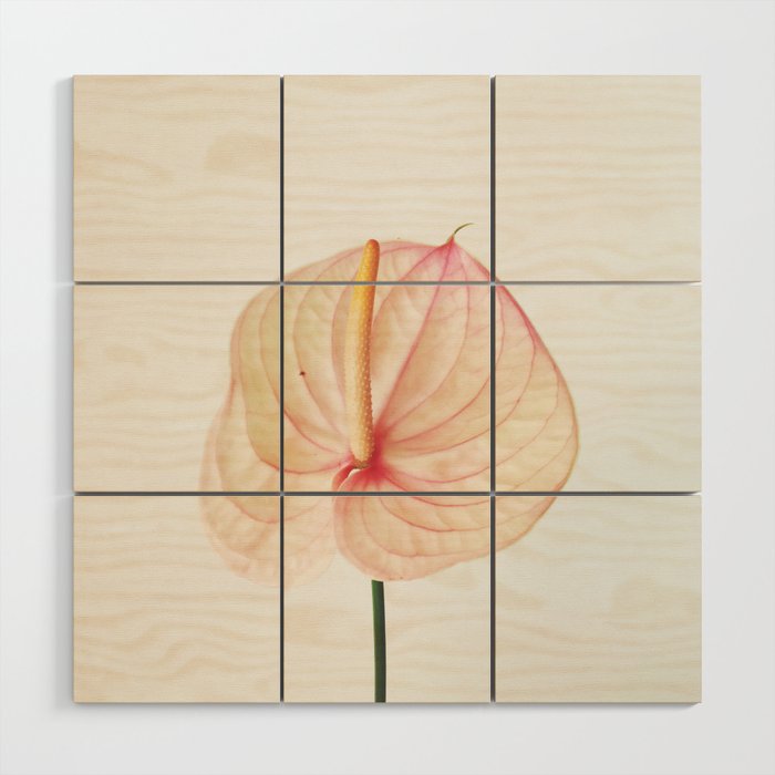 Calla Lily II Wood Wall Art Gallery Image 1