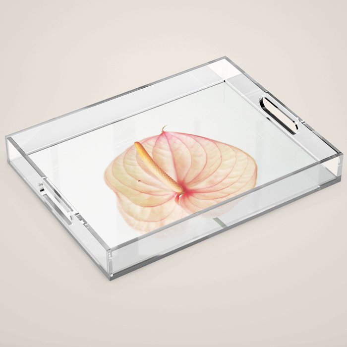 Calla Lily II Acrylic Tray Gallery Image 1