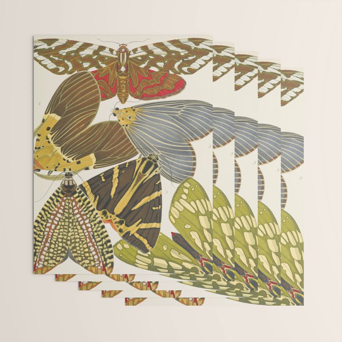 Moth Print by E.A. Seguy, 1925 #5 Wrapping Paper Gallery Image 3