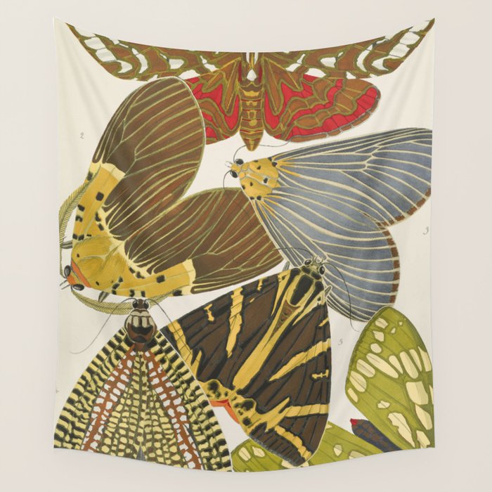 Moth Print by E.A. Seguy, 1925 #5 Wall Tapestry Gallery Image 1