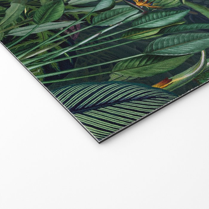 Midnight rainforest I Welcome Mat Gallery Image 2