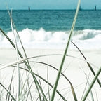 Beach grass Coffee Mug Gallery Image 2