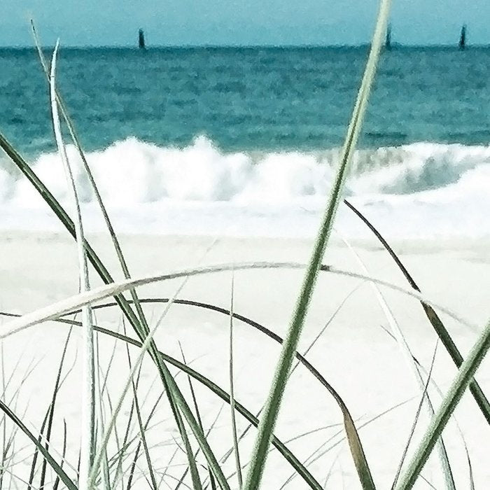 Beach grass Coffee Mug Gallery Image 2