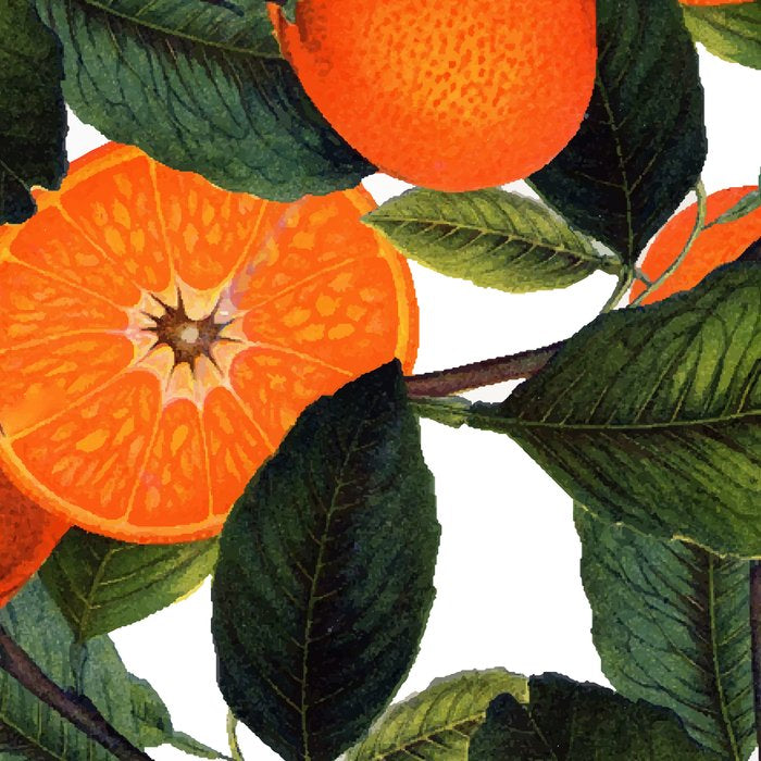 The Forbidden Orange #society6 #decor #buyart Coffee Mug Gallery Image 2