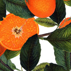 The Forbidden Orange #society6 #decor #buyart Coffee Mug Gallery Image 2