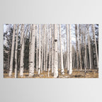 Trees of Reason - Birch Forest Tablecloth Gallery Image 2