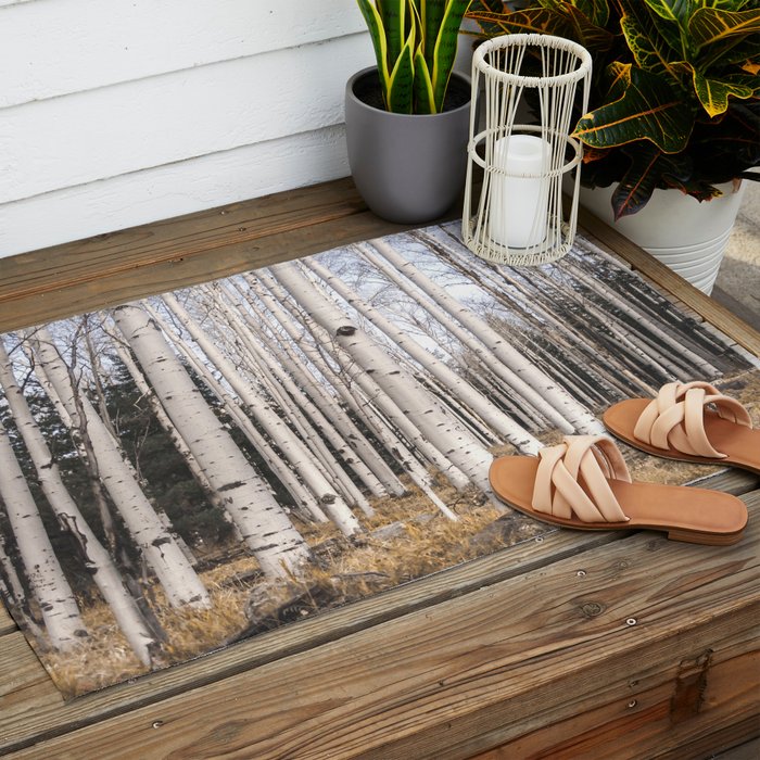 Trees of Reason - Birch Forest Outdoor Rug Gallery Image 2