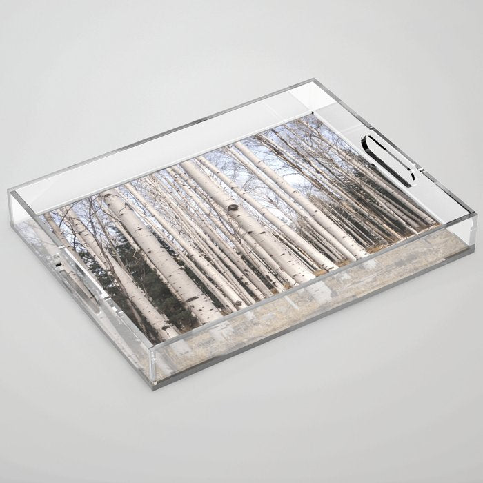Trees of Reason - Birch Forest Acrylic Tray Gallery Image 1