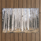 Trees of Reason - Birch Forest Outdoor Rug Gallery Image 1