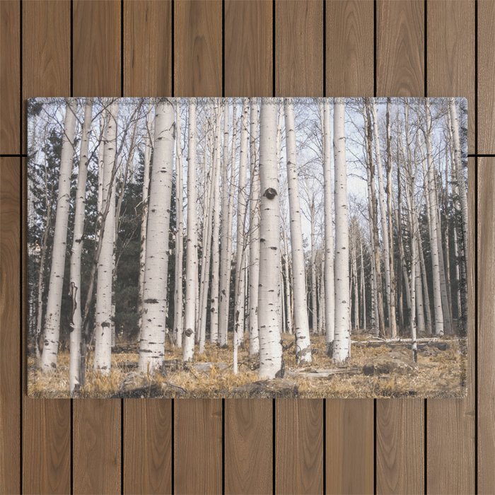 Trees of Reason - Birch Forest Outdoor Rug Gallery Image 1