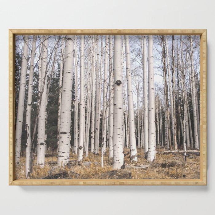 Trees of Reason - Birch Forest Serving Tray Gallery Image 1