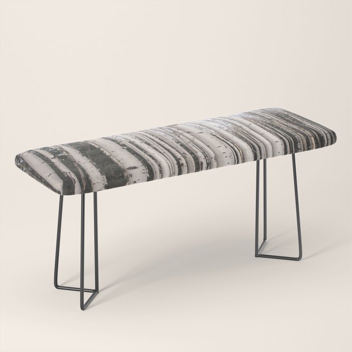 Trees of Reason - Birch Forest Bench Gallery Image 1