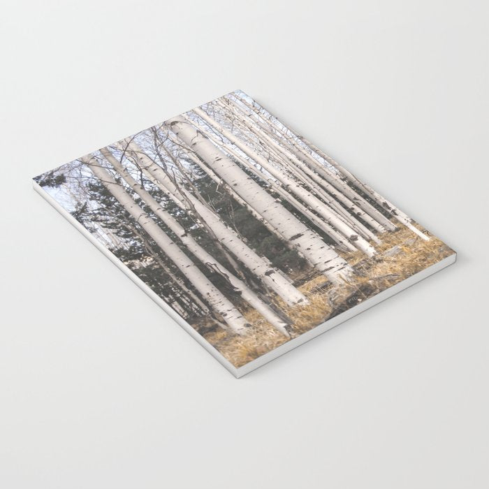 Trees of Reason - Birch Forest Notebook Gallery Image 3