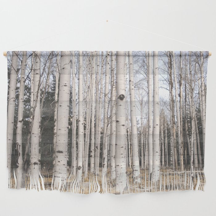 Trees of Reason - Birch Forest Wall Hanging Gallery Image 1