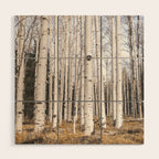 Trees of Reason - Birch Forest Wood Wall Art Gallery Image 1