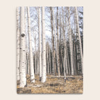 Trees of Reason - Birch Forest Notebook Gallery Image 4
