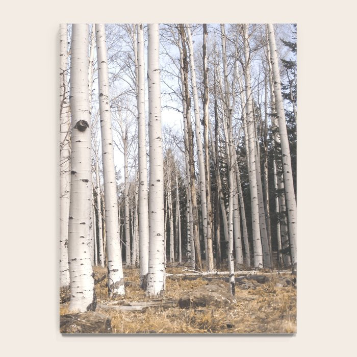 Trees of Reason - Birch Forest Notebook Gallery Image 4