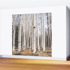 Trees of Reason - Birch Forest Wall Mural Gallery Image 2