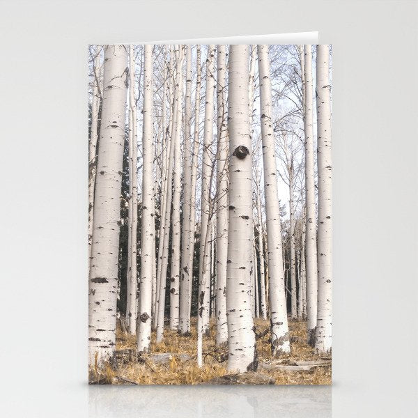 Trees of Reason - Birch Forest Stationery Card Gallery Image 2